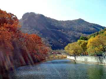 正新澳门二四六天天彩，风水师小说